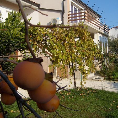 Apartments Bernic 메덜린 외부 사진